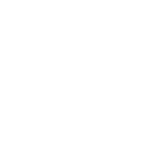 Website Hacking